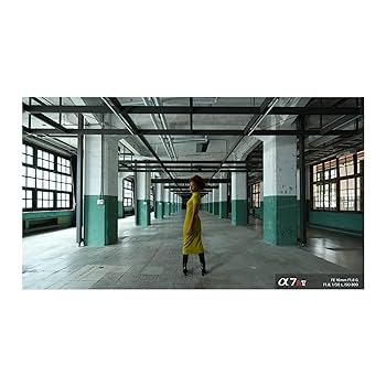 Amazon.co.jp: Sony FE 16mm f/1.8 G。 : 家電＆カメラ